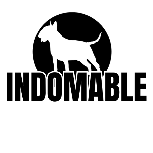 Indomable 